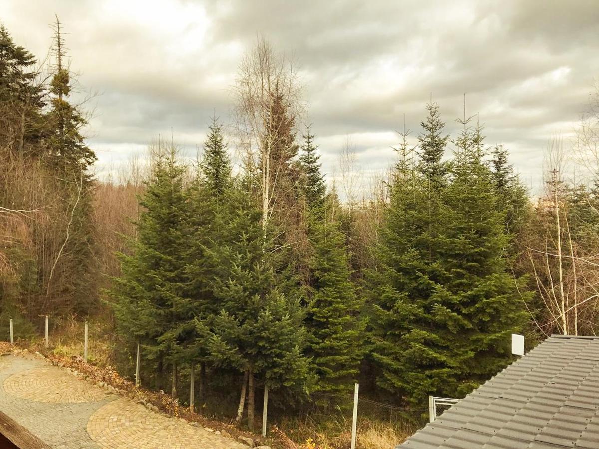 Dachna Sadyba Pb Migovo Exteriör bild