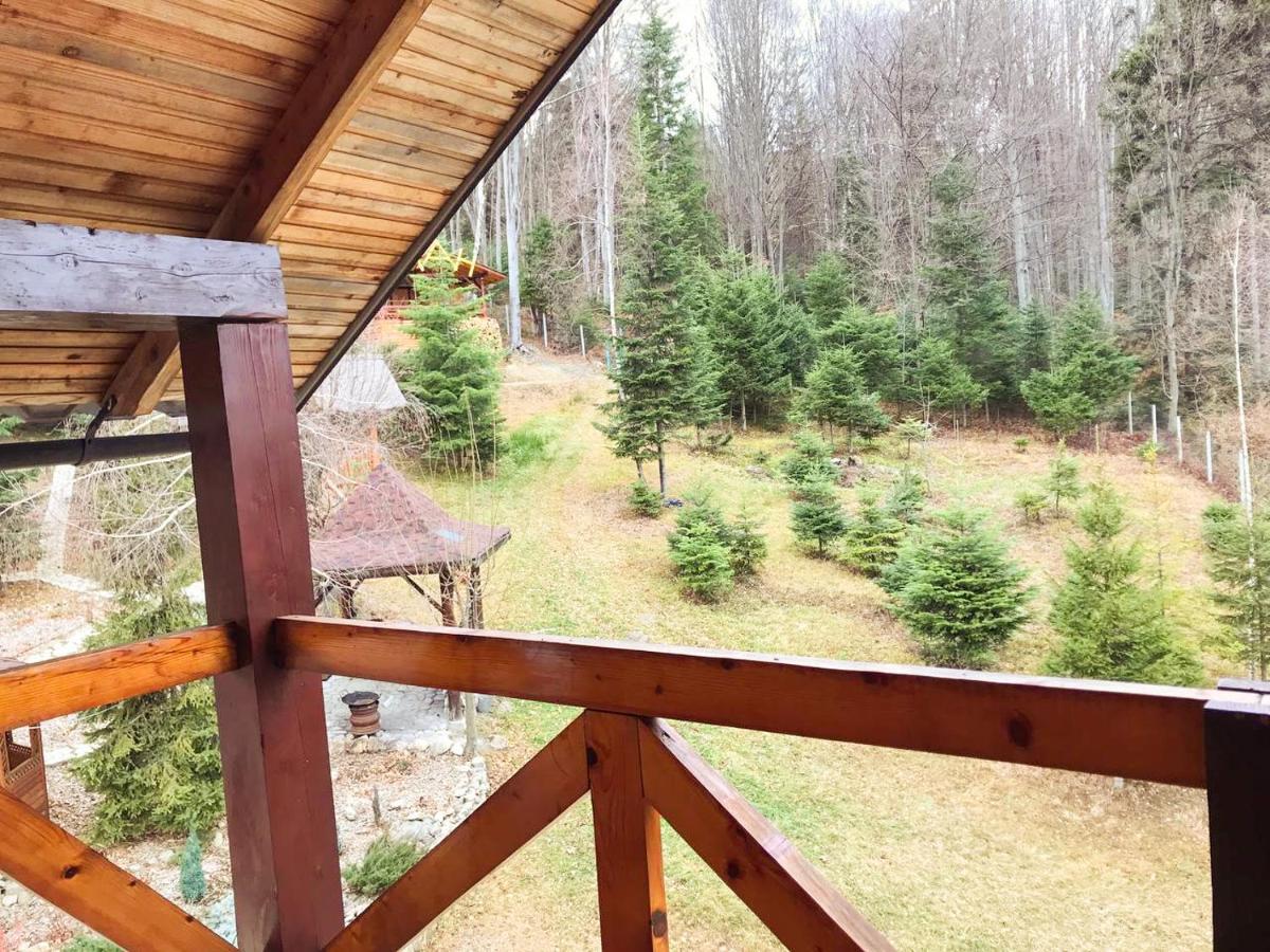 Dachna Sadyba Pb Migovo Exteriör bild